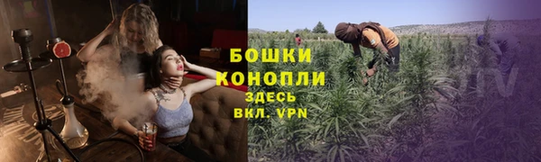 мдпв Майский