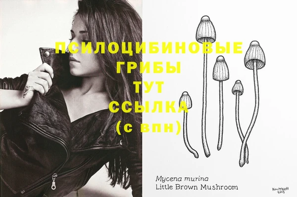 марихуана Магадан