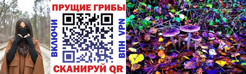 хочу наркоту  Нестеровская  Псилоцибиновые грибы Psilocybine cubensis 